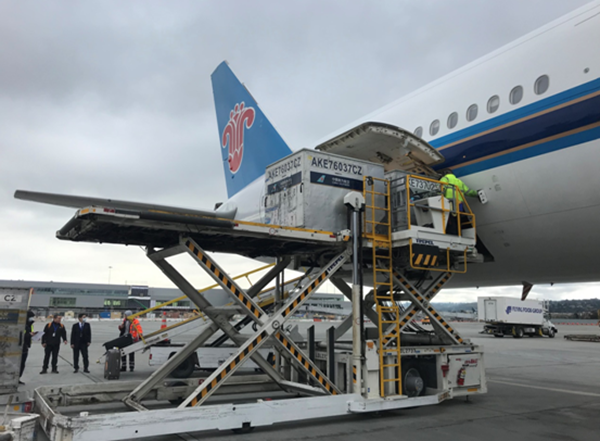 南航旧金山营业部上门收取防护物资包装送运。